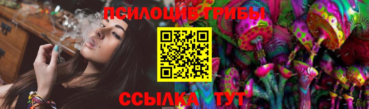 Серпухов  Псилоцибиновые грибы Psilocybe  Вход с VPN 