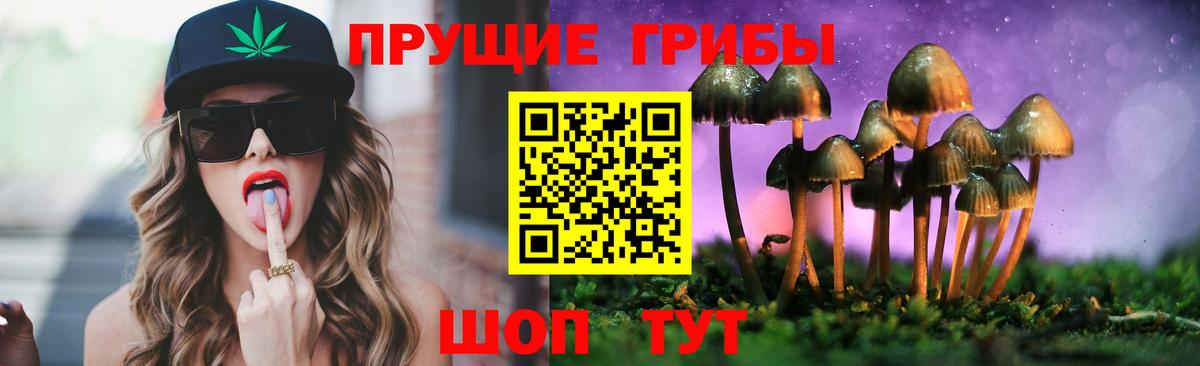 Галлюциногенные грибы прущие грибы Серпухов